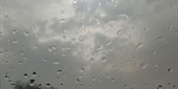 هل رائحة المطر تعمل على إفراز الدوبامين وتُحسّن المزاج.... 